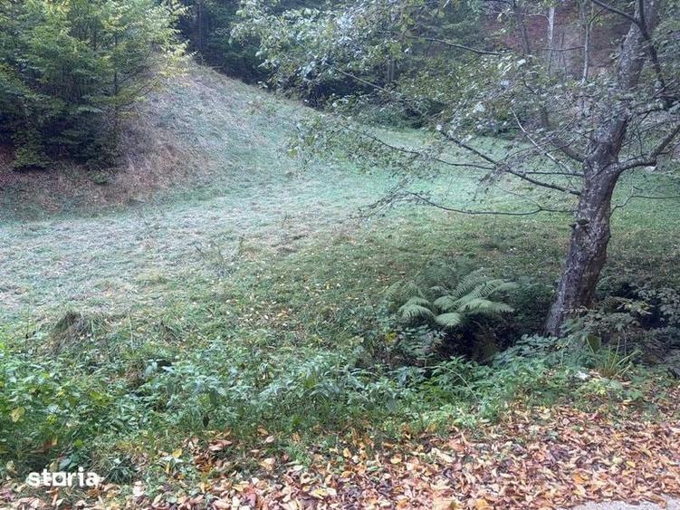 Teren de 8927 mp, în Holbav