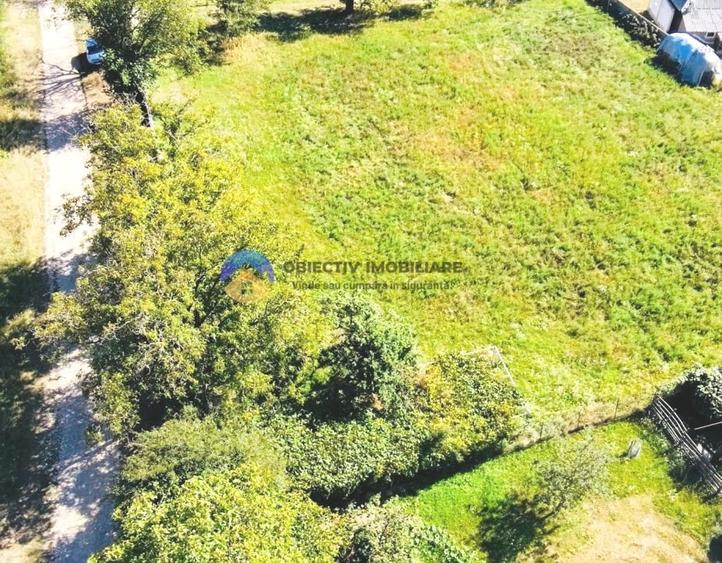 Teren intravilan de 3260 mp, în Chintinici