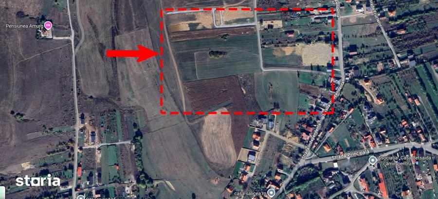 Teren de 1500 mp, în Ciurila