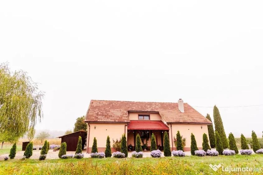 Casă cu 4 camere cu Teren 3200 Mp în Archiș