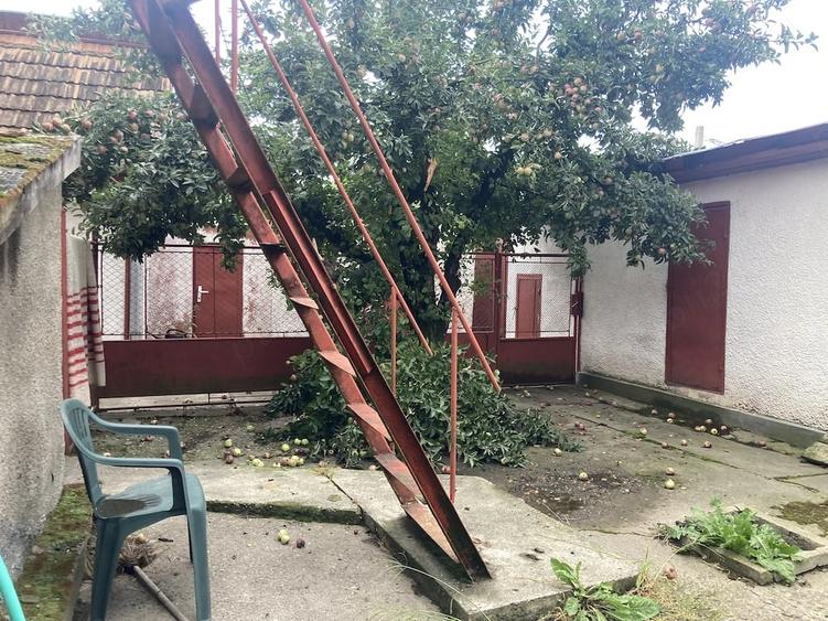Casă cu 3 camere cu Teren 1336 Mp în Central