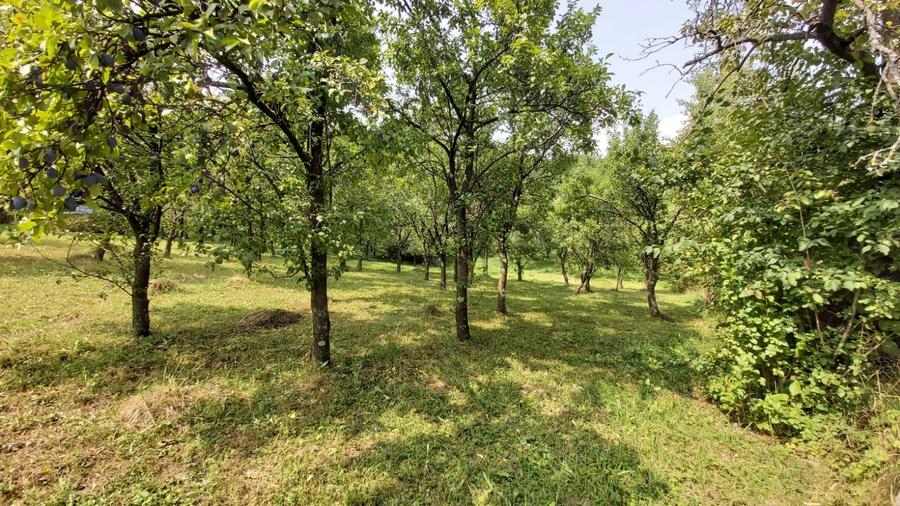 Teren Construcții intravilan de 6000 mp, în Breaza