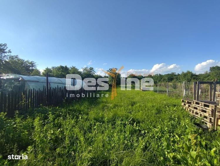 Casă cu 3 camere în Goruna