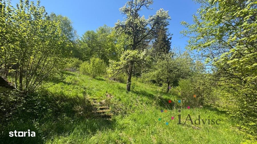 TEREN CU VEDERE PANORAMICA IN CENTRUL ISTORIC AL BRASOVULUI - 4