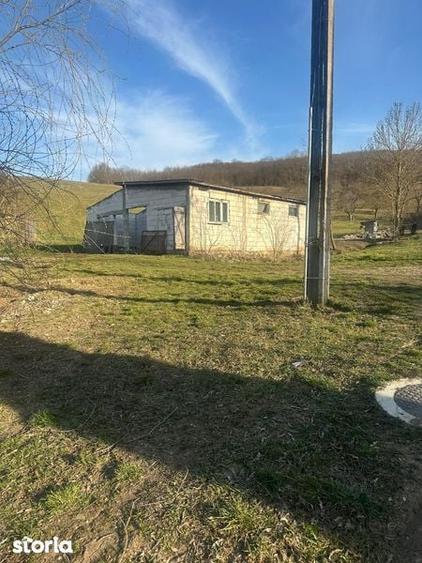 Teren de 2000 mp, în Mociu