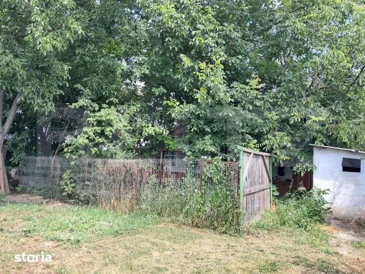 Casă cu 3 camere cu Teren 2920 Mp în Criș