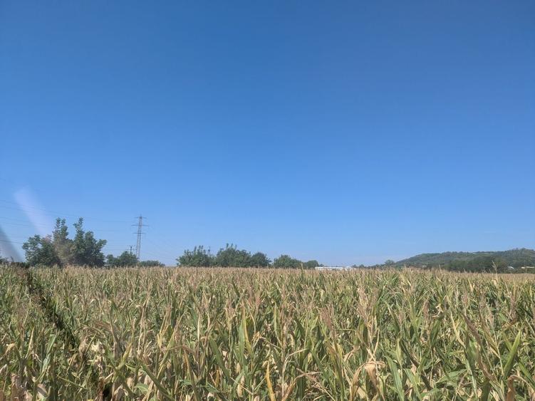 Spațiu comercial, în Valea