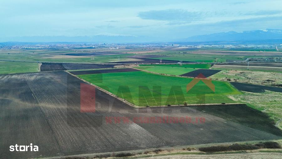 Teren de 74000 mp, în Șura Mică