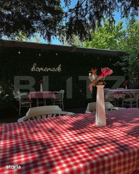 Spațiu comercial, de 240 mp, în Elisabetin