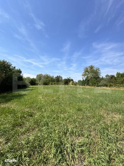 Proprietate superba in Damieni! cu potential enorm comercial! 550mp ut - 13