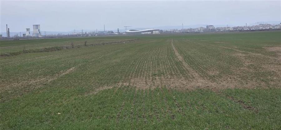Teren agricol extravilan de 7900 mp, în Industrială