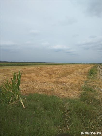 Teren de 3600 mp, în Moara Vlăsiei
