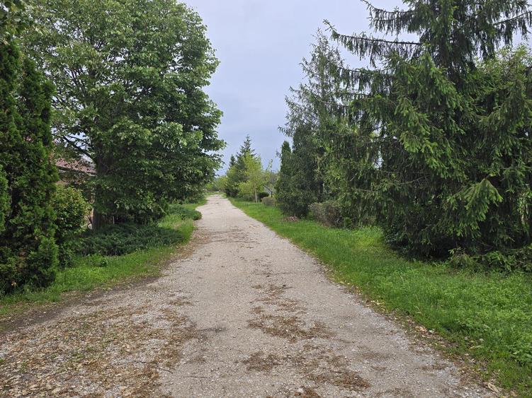 Teren de 38464 mp, în Beharca
