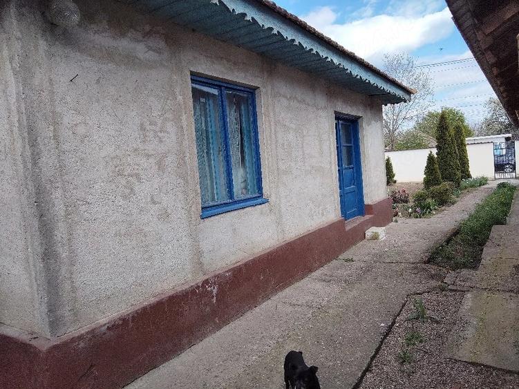 Casă cu Teren 700 Mp în Amara