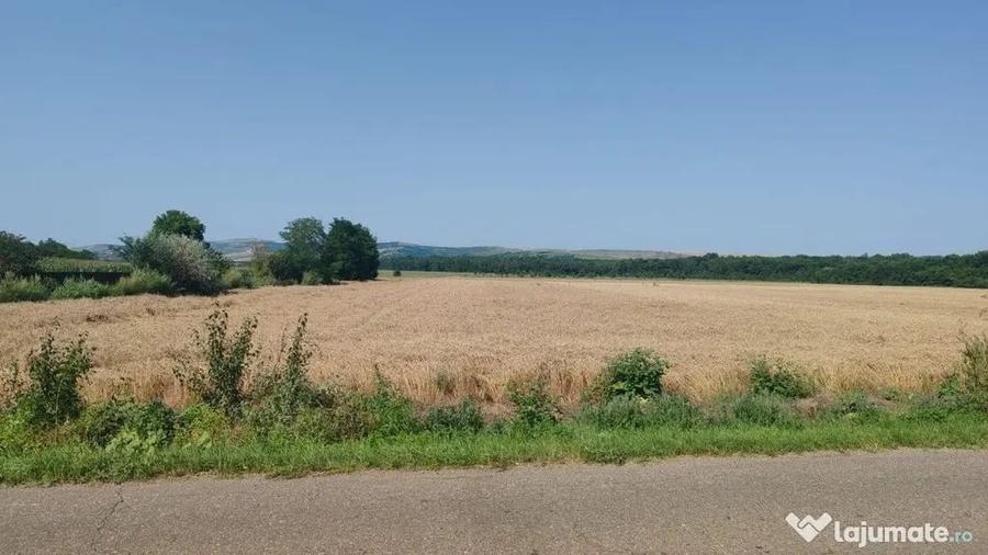 Teren în Bălteni