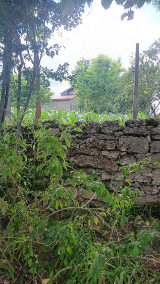 Casă cu Teren 2000 Mp în Cerchezu