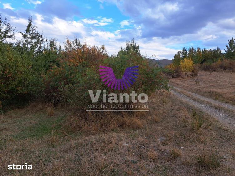 Teren de 1000 mp, în Central
