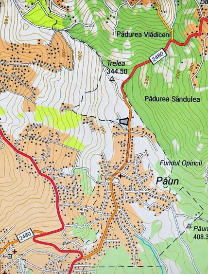 Teren intravilan de 10000 mp, în Bucium