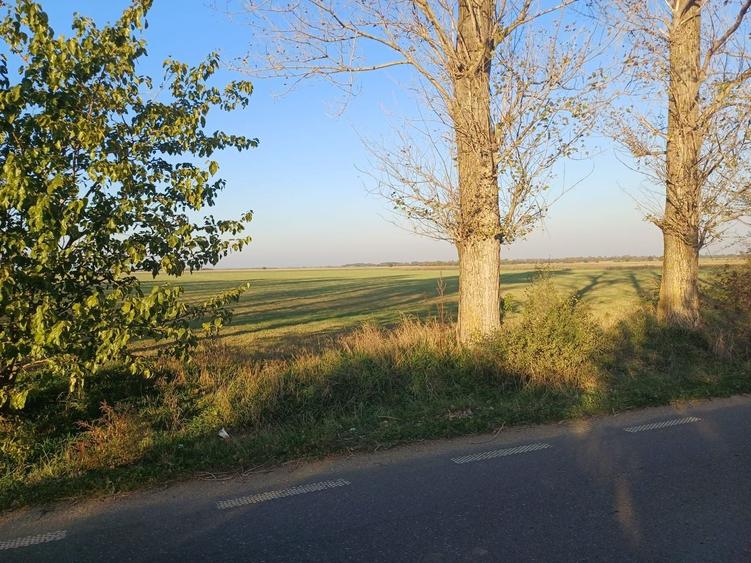 Teren agricol extravilan de 5300 mp, în Gruiu