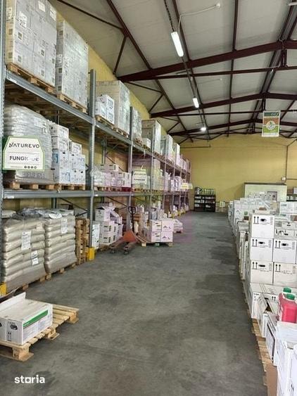 Hale industriale cu parcari multiple Bragadiru Sos Alexandriei stradal - 3
