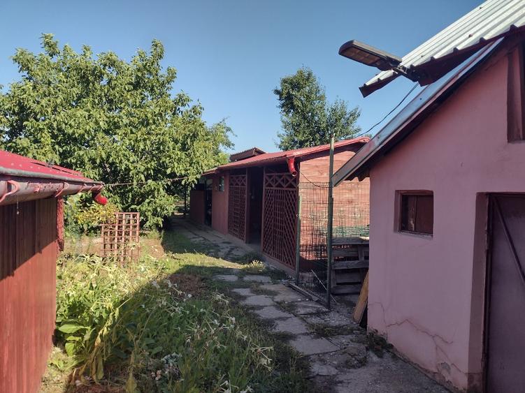 Casă individuală cu 5 camere cu Teren 1800 Mp în Teslui