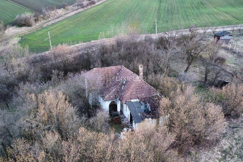 Teren agricol extravilan de 11600 mp, în Ceuașu de Câmpie