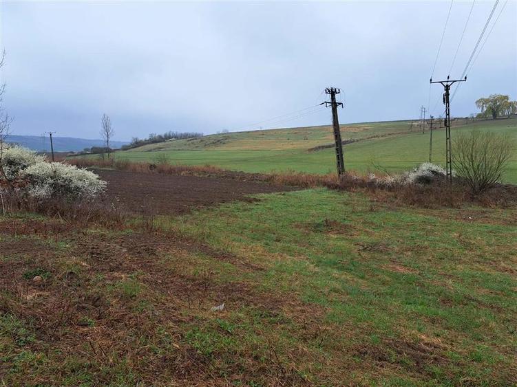 Teren intravilan de 10900 mp, în Ghenetea