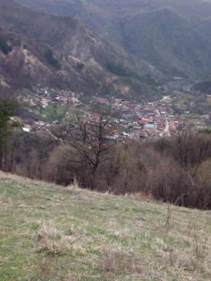 Casa cu gradina de vanzare - 6
