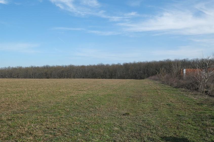 Teren Construcții intravilan de 1075 mp, în Găneasa
