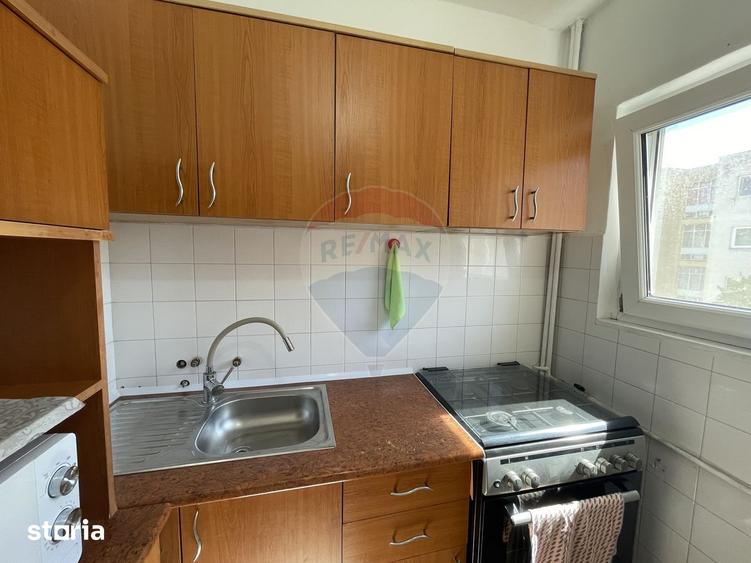 Apartament cu 1 camera in Micalaca - 7