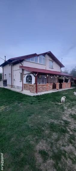 Teren de 2300 mp, în Măgurele