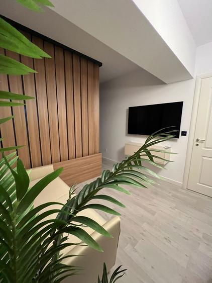 Apartament 1 camera Evergreen Tatarasi - 16