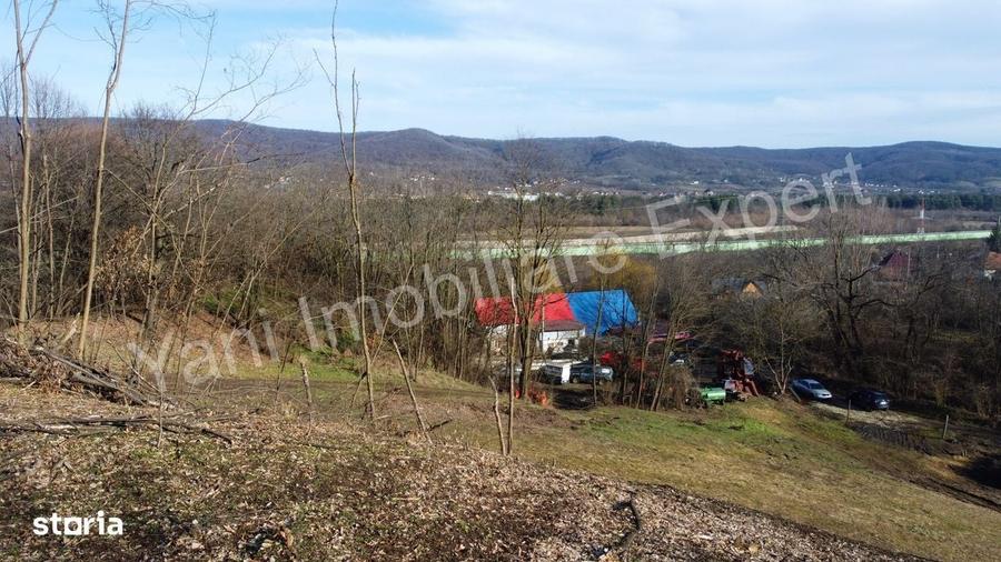 Spațiu comercial, în Valea Brazilor