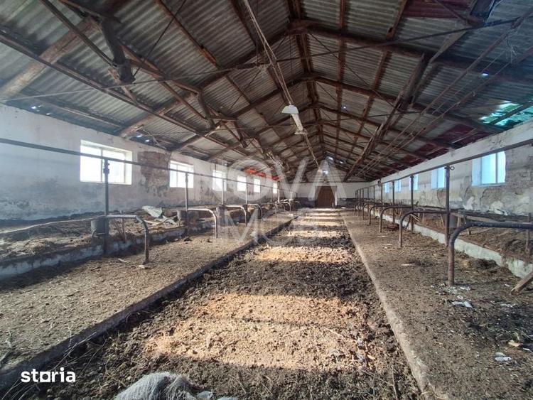 Ferma complet echipata de vanzare zona Agnita, judetul Sibiu - 16