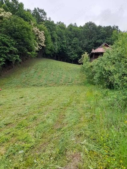 Teren de 2584 mp, în Fedeleșoiu