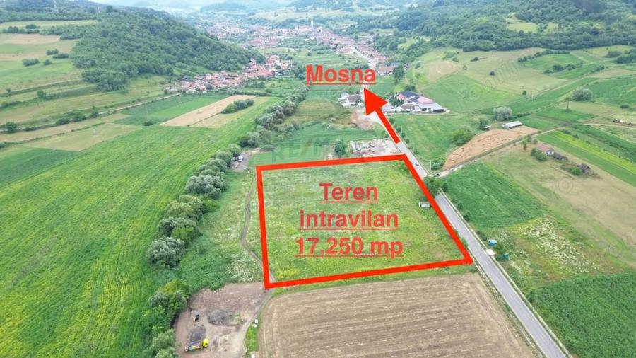 Teren de 17250 mp, în Moșna