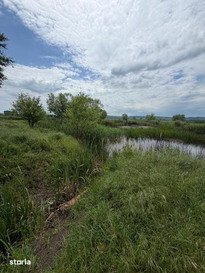 Teren de 6000 mp, în Brazda lui Novac