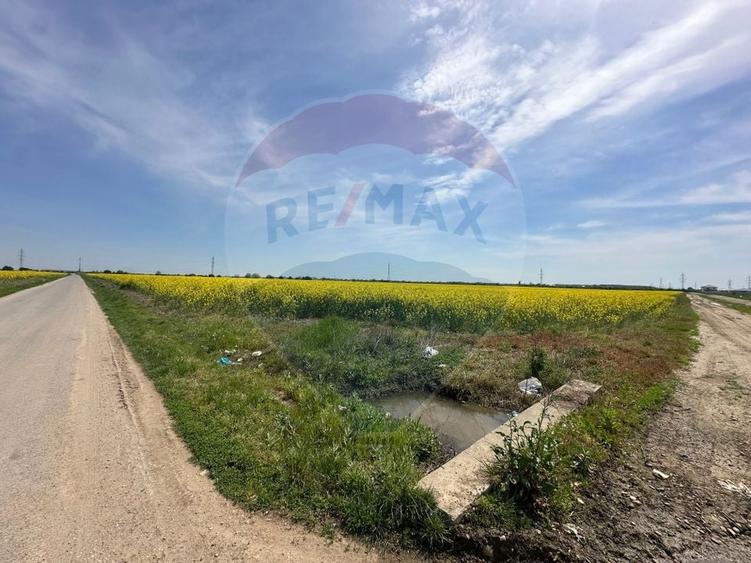 Teren Construcții intravilan de 545000 mp, în Dragomirești-Vale