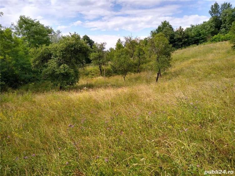 Teren de 4700 mp, în Romos