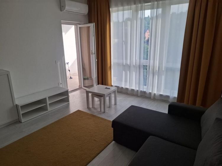 Garsonieră în Bucium