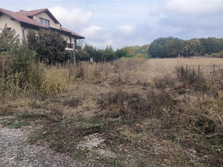 Teren intravilan de 394 mp, în Domnești