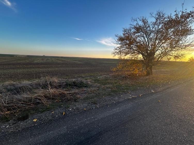 Teren agricol extravilan de 20000 mp, în Orțișoara