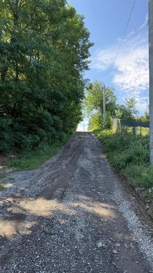 Teren în Brănești