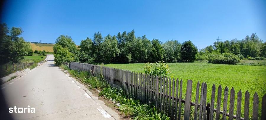 Teren de 1330 mp, în Negrești