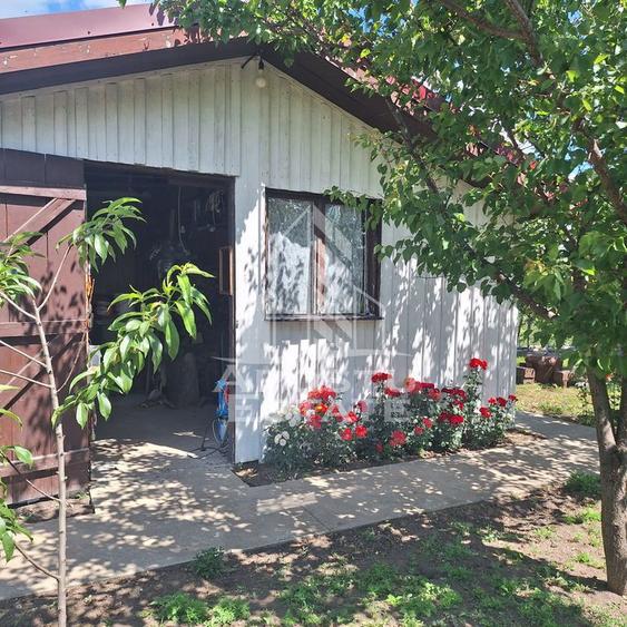 Casa individuala in Ianova,Comuna Remetea Mare - 16