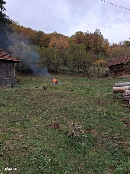 Casă cu 3 camere cu Teren 7000 Mp în Central