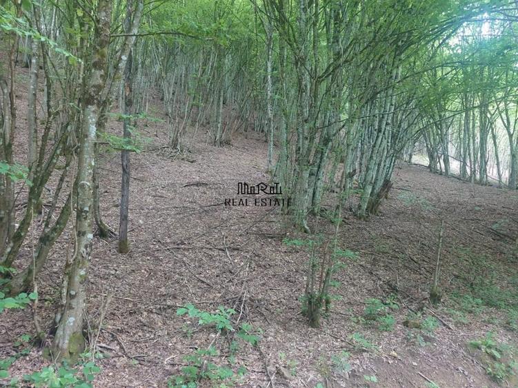Teren de 3700 mp, în Bulzeștii de Sus