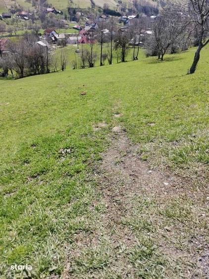 Teren de 10050 mp, în Moieciu