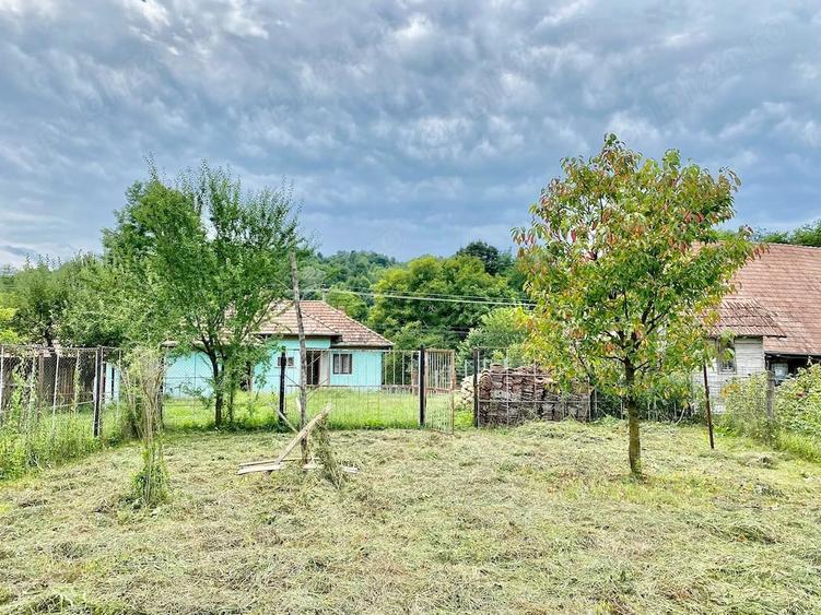 Casa cu livada matura ?i teren intravilan de 2.224 mp - 10