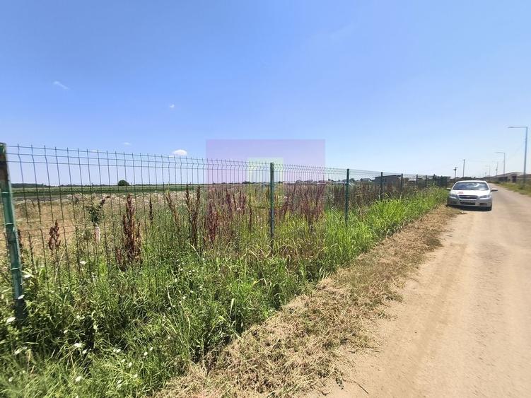 Teren de 582 mp, în Copăceni
